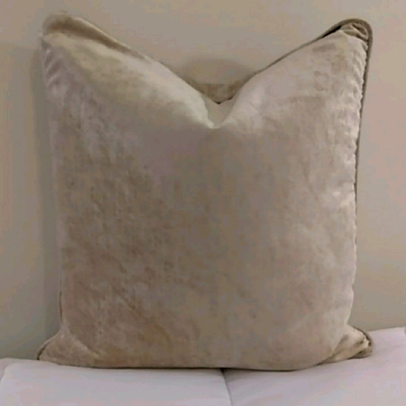 Pier 1 Other - Pier 1 velvet accent pillow.
